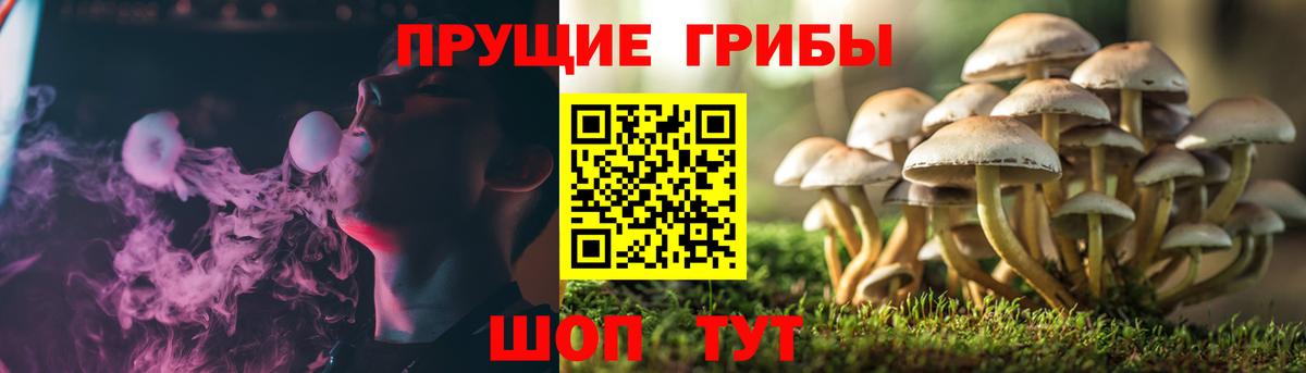 Великий Устюг  Псилоцибиновые грибы мухоморы  Вход с VPN 